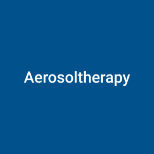 Aerosoltherapy
